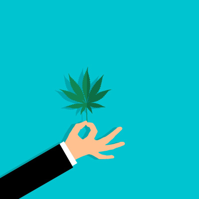 CBD Cannabis y derivados cannabinoides
