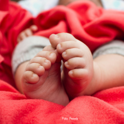 Embarazo, infancia y lactancia