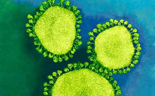 Coronavirus: què sabem (i què no sabem) de moment...