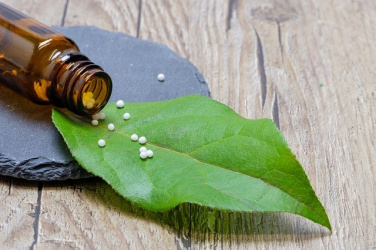 Consejo en homeopatía y fitoterapia 