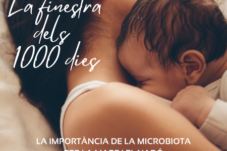 La finestra dels 1.000 dies