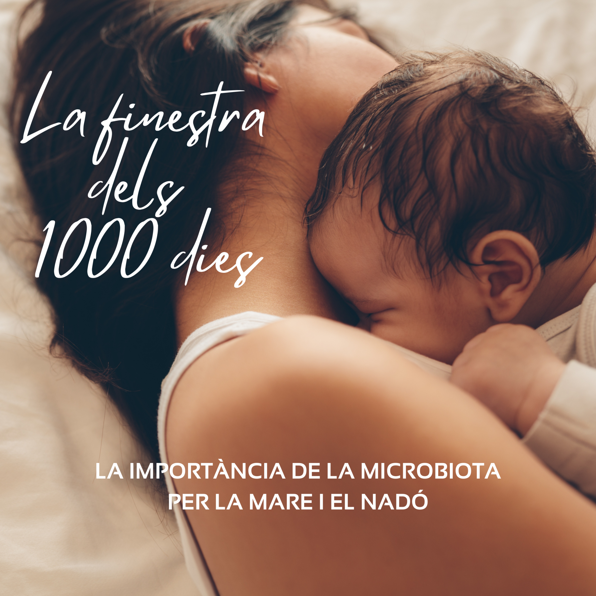 La finestra dels 1.000 dies