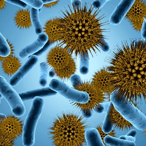 Doctor, tengo tos con flema verde, ¿necesito antibiótico? - Farmacia Farmacia León Doctor, tengo tos con flema verde, ¿necesito antibiótico? - Farmacia Farmacia León