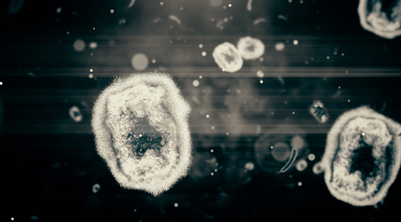 Viruela del mono: síntomas y  formas de transmisión