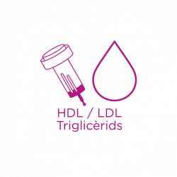 Anàlisi perfil lipídic