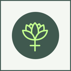 Servicio de Menopausia y Perimenopausia