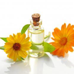 Cosmètica natural i Bio