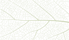 Farm&agrave;cia Cutillas