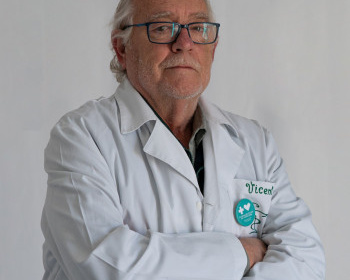 Vicente Boix 